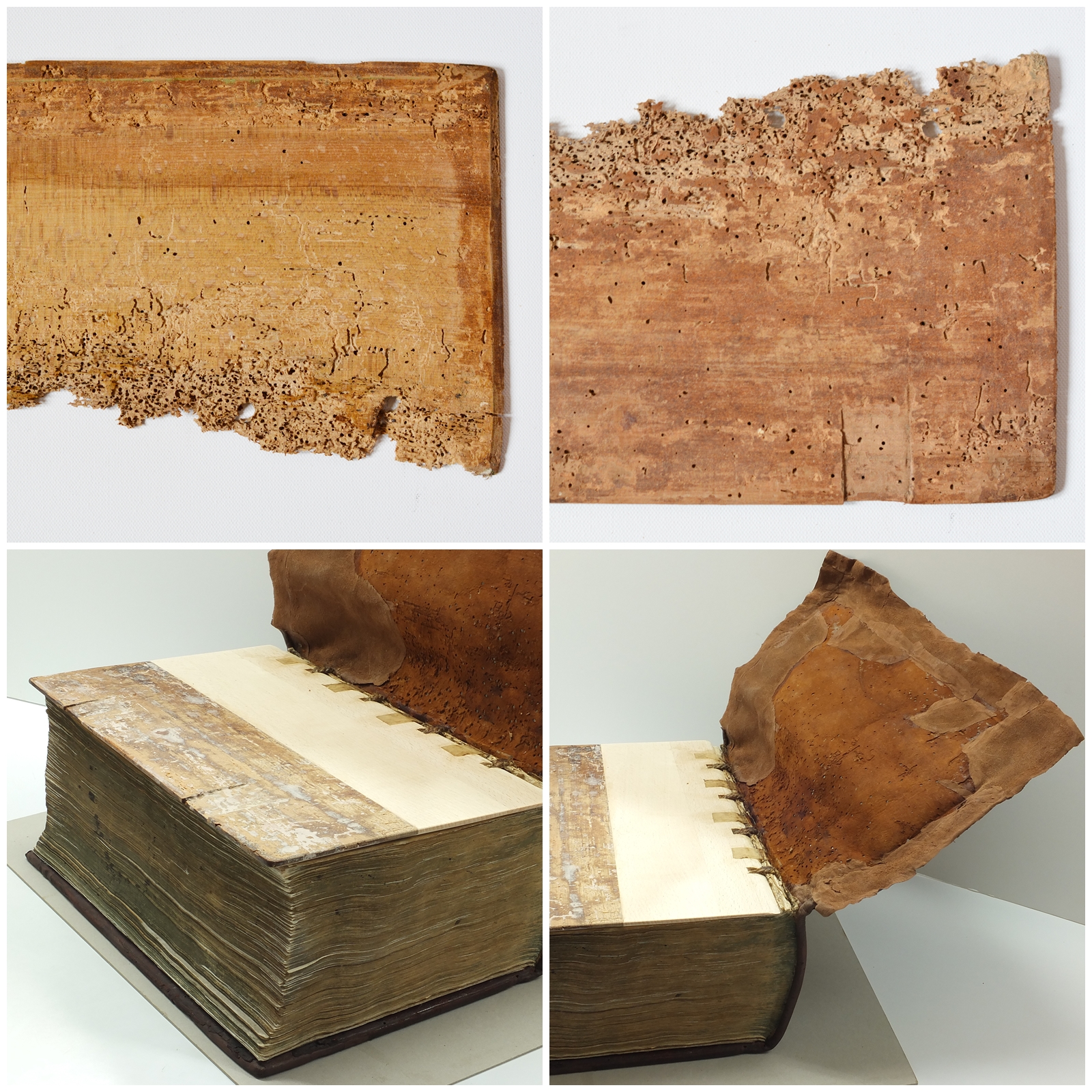 Kilka ujęć księgi z oddzielonymi drewnianymi elementami oprawy, z widocznymi dziurkami wyżartymi przez robactwo.